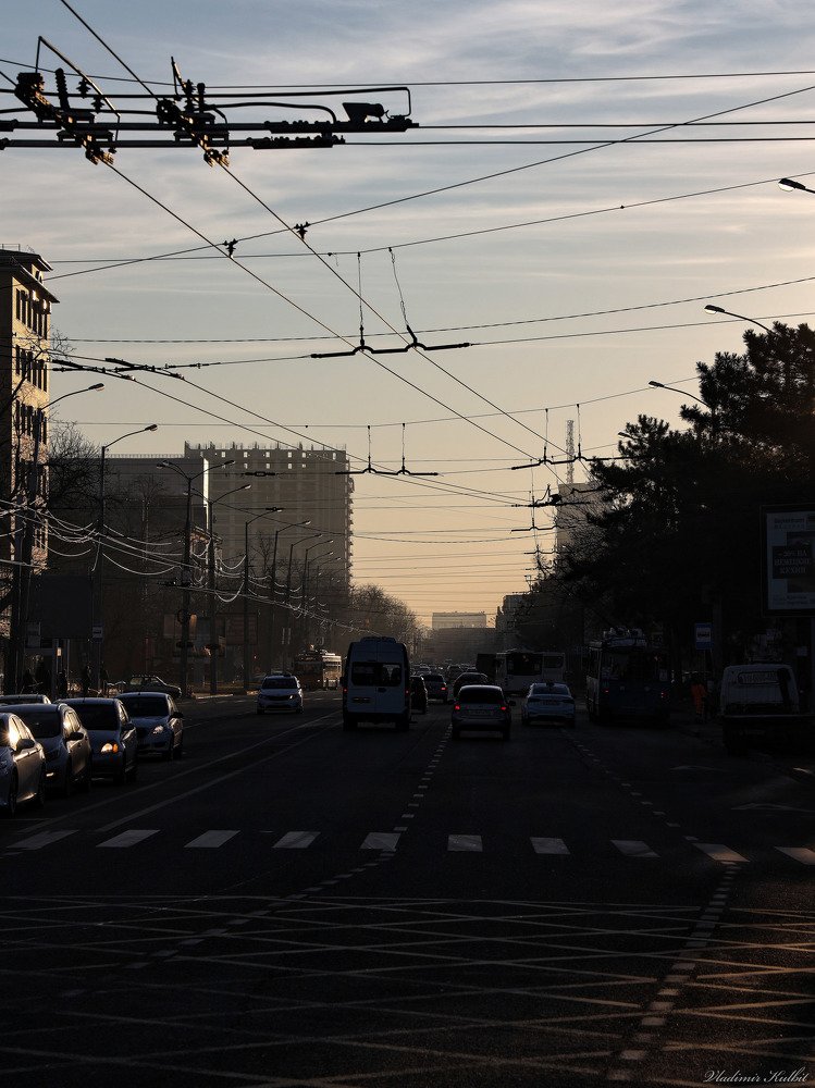 Photograph by Владимир Кульбит