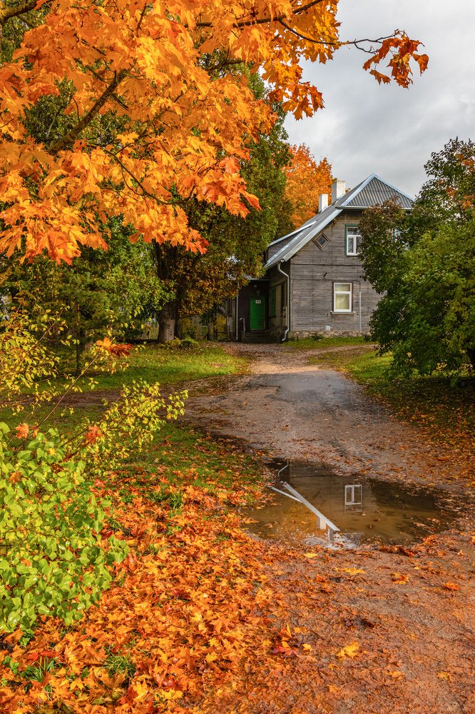 Photograph by JANIS BIJA