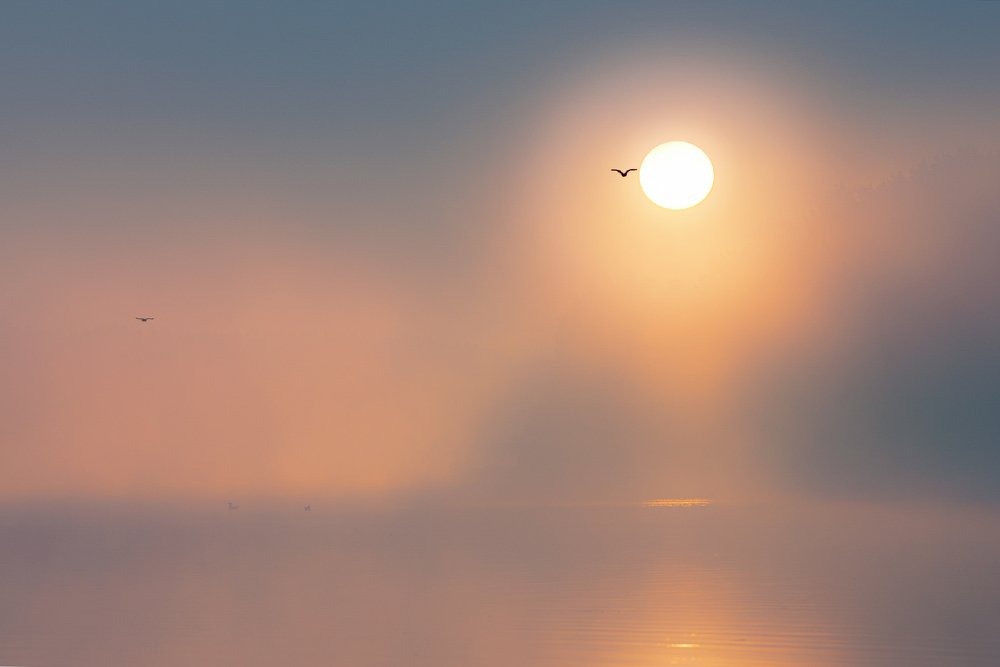 Туманы Свислочи