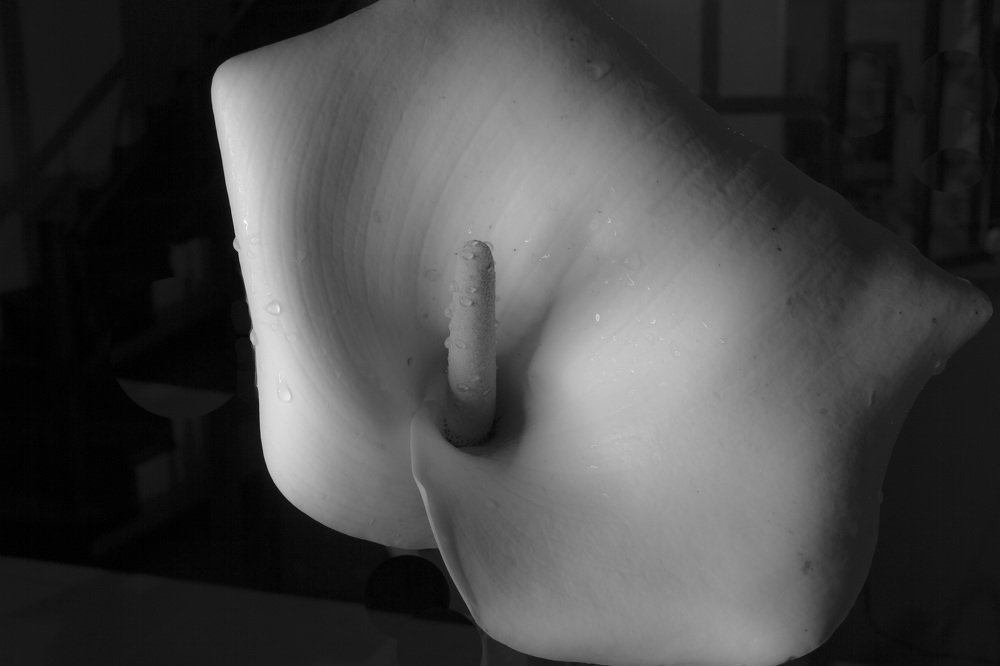 Photograph by Eduardo Palma