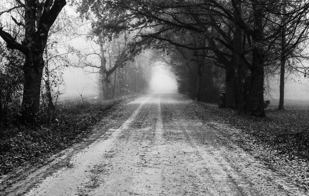 Photograph by JANIS BIJA