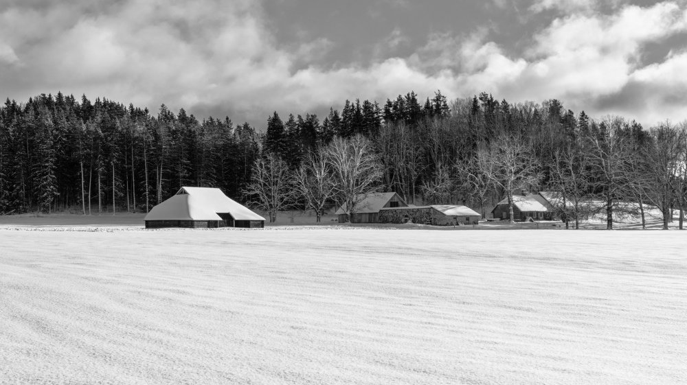 Photograph by JANIS BIJA