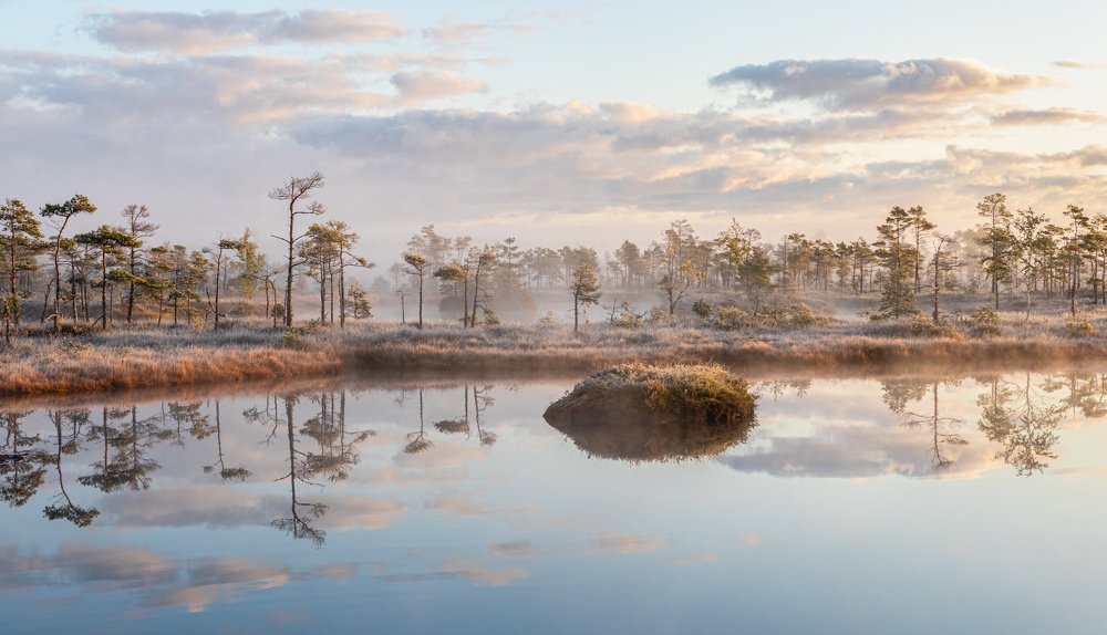 Photograph by JANIS BIJA