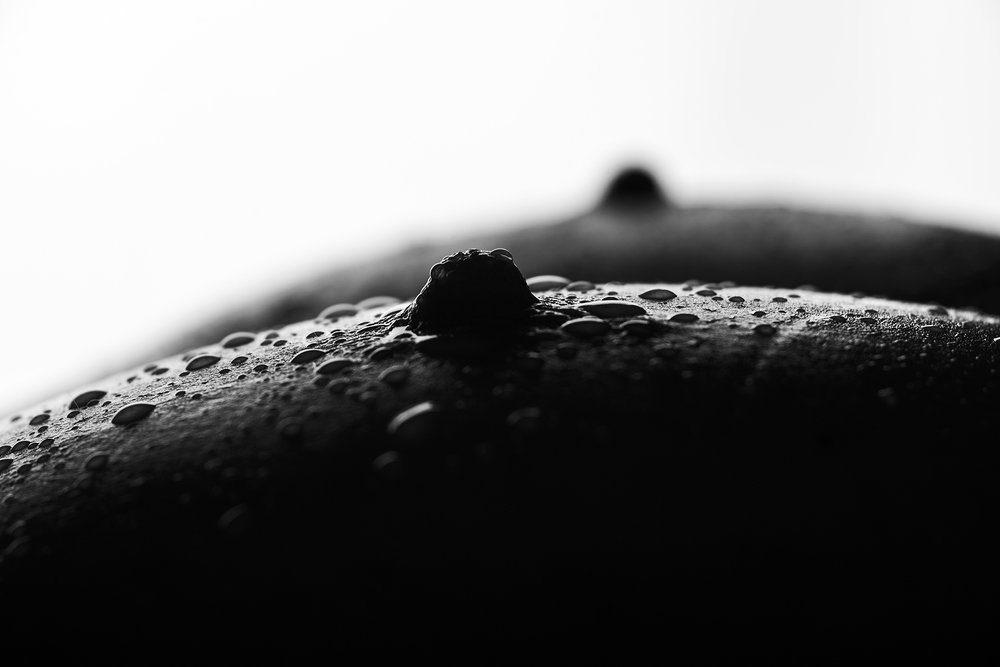 Photograph by Григорий Привалов