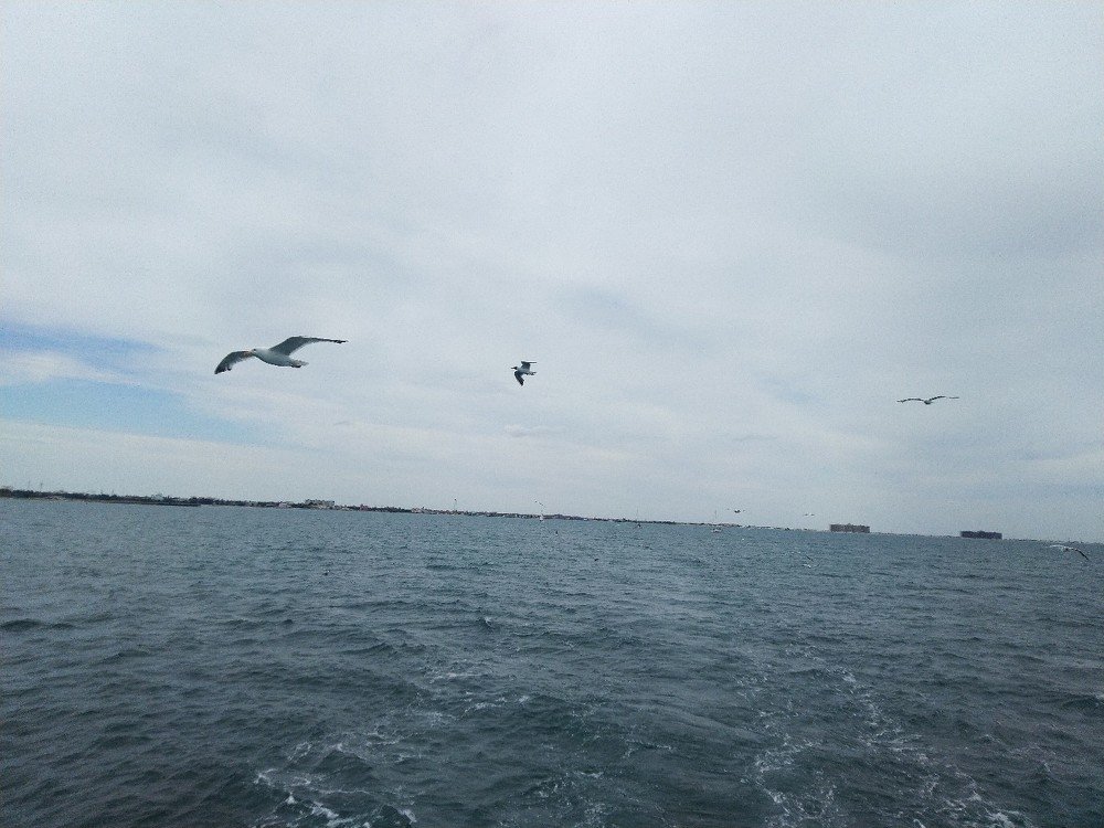 Photograph by Наталья Шулятина