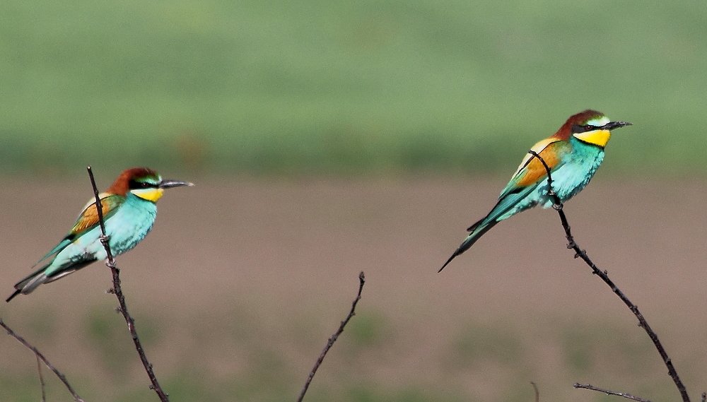 Photograph by Ірина Шандрук
