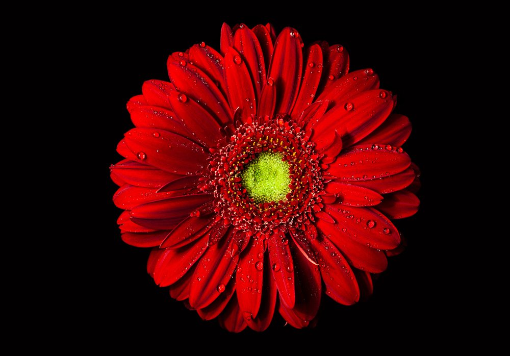 Photograph by Алексей Карпинчик