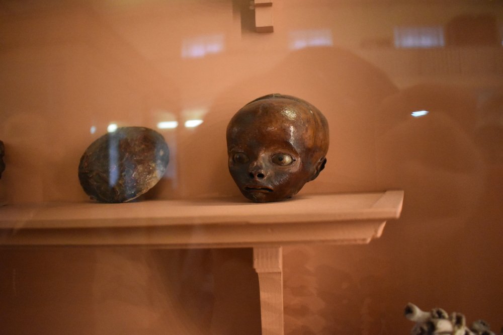 Photograph by Жасмин Сулиман