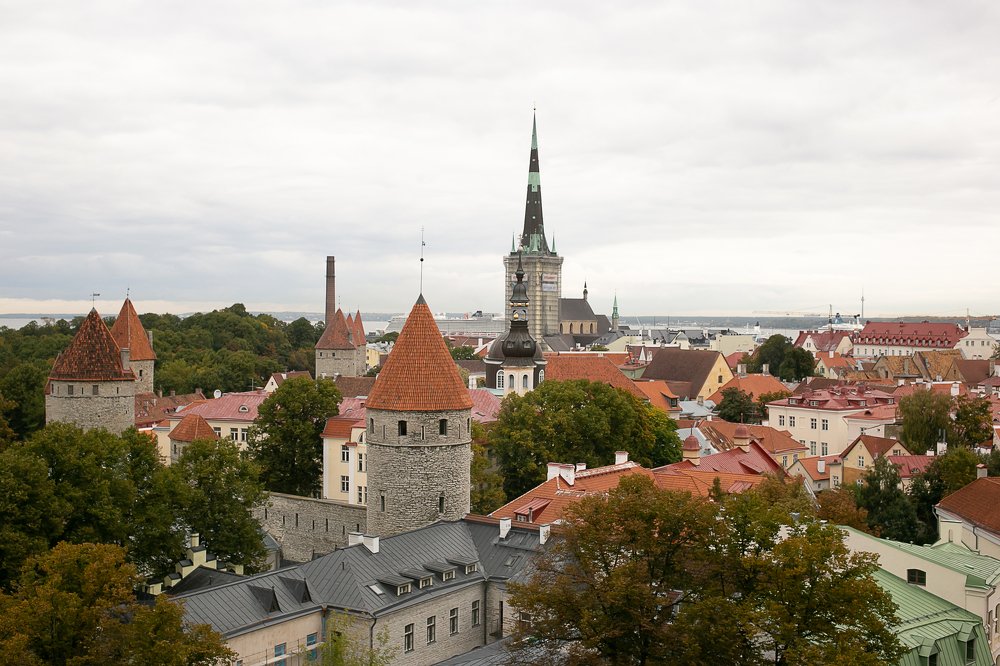 Фотография автора Ольга Матусевич