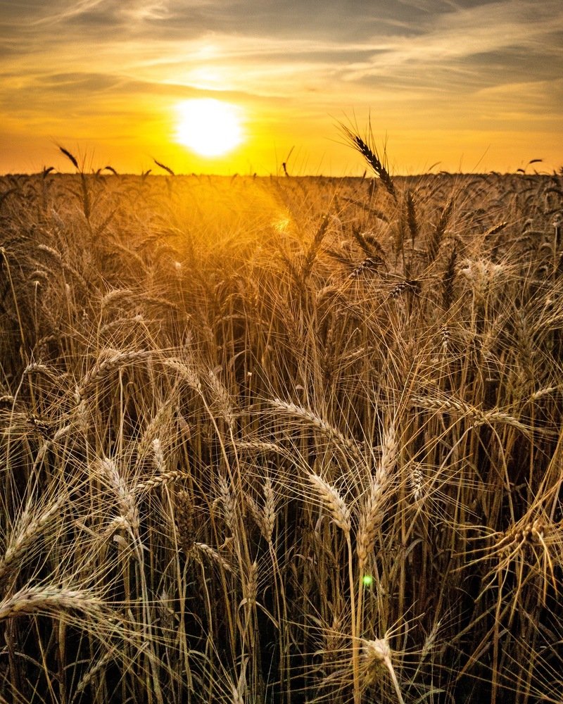 Photograph by Евгений Марков