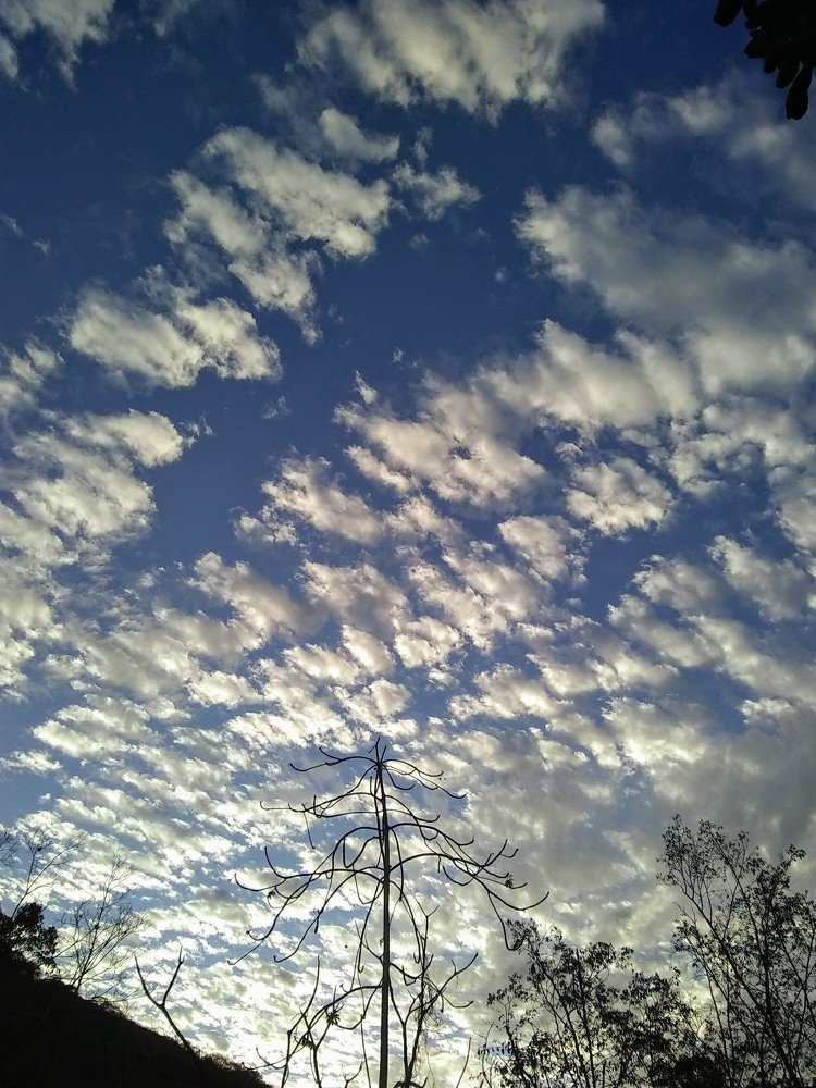 Photo #4342592