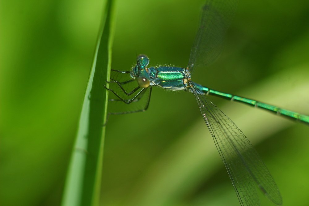 Фотография автора Геннадий Титов