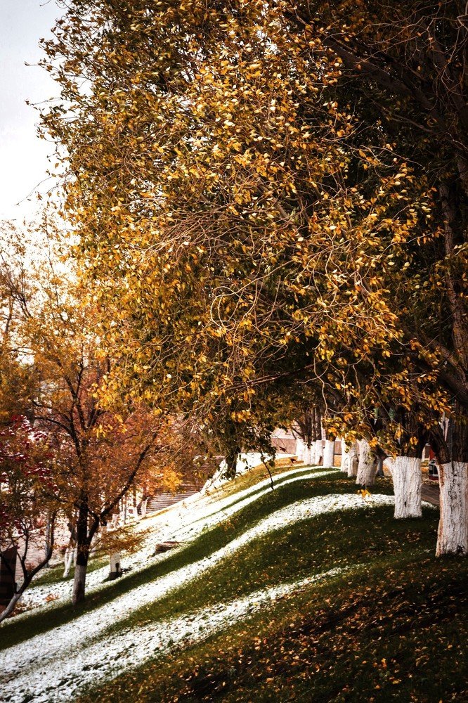 Photograph by Елена Демина