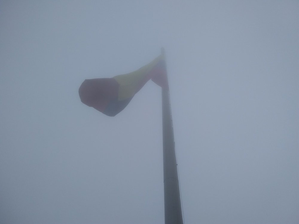 Photo #4342635