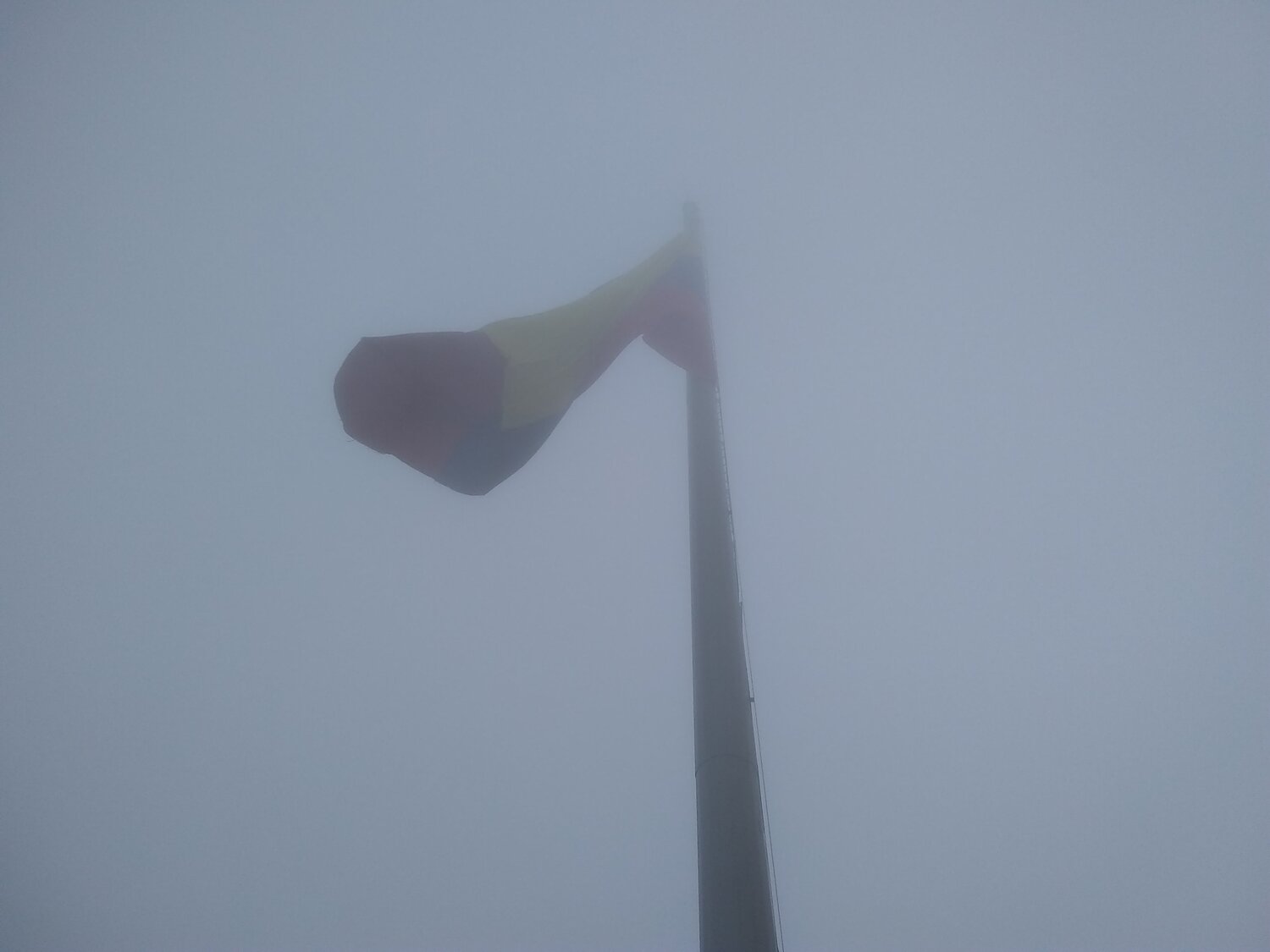 Photo #4342635