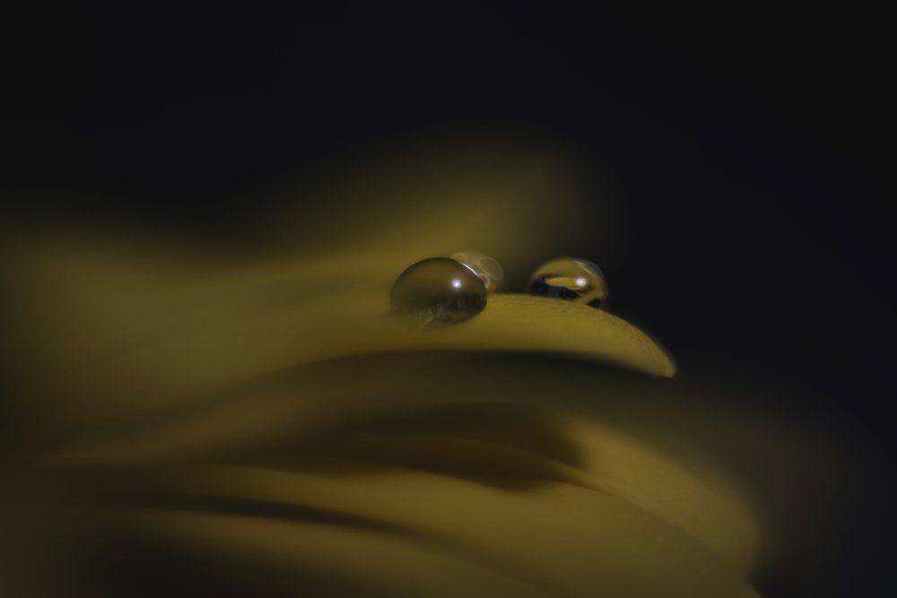 Photograph by Екатерина Иванова