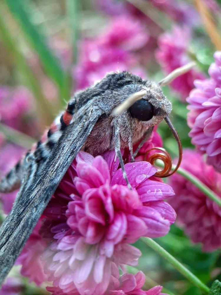 Photograph by Наталья Жданова