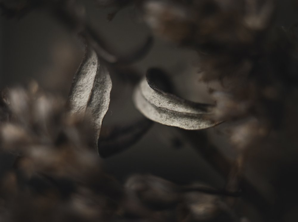 Photograph by Екатерина Иванова