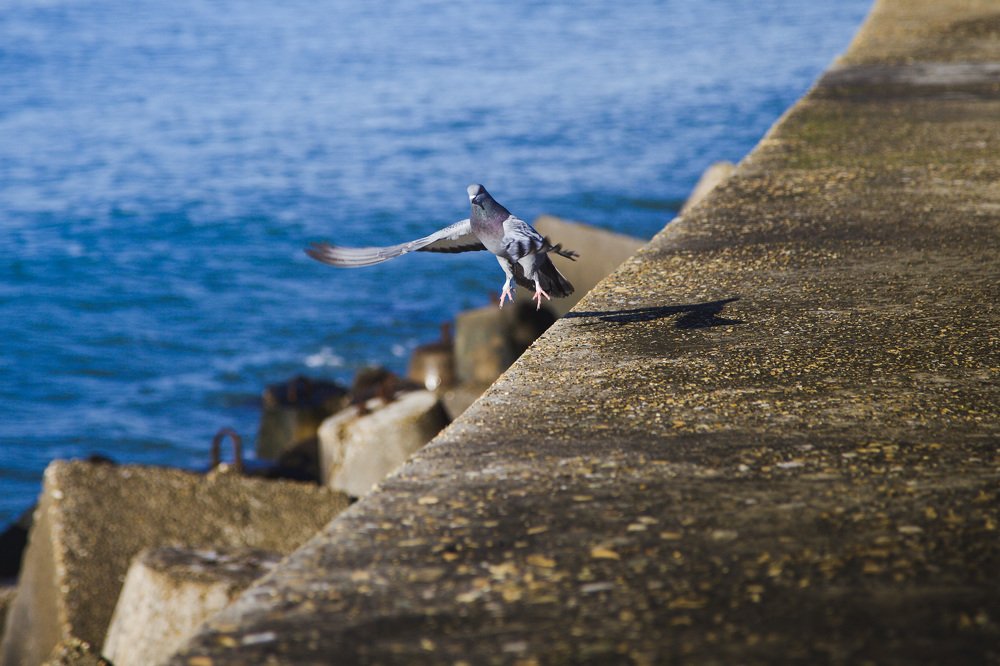 Фотография автора Алиса Чурчудесная