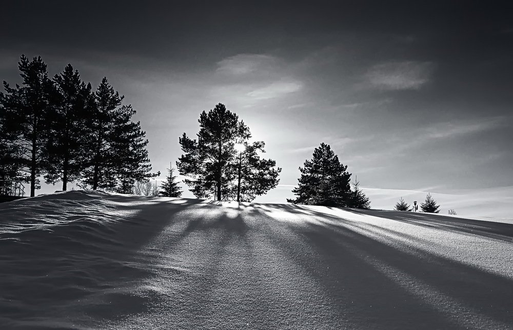 Photograph by Nadezda Sereda