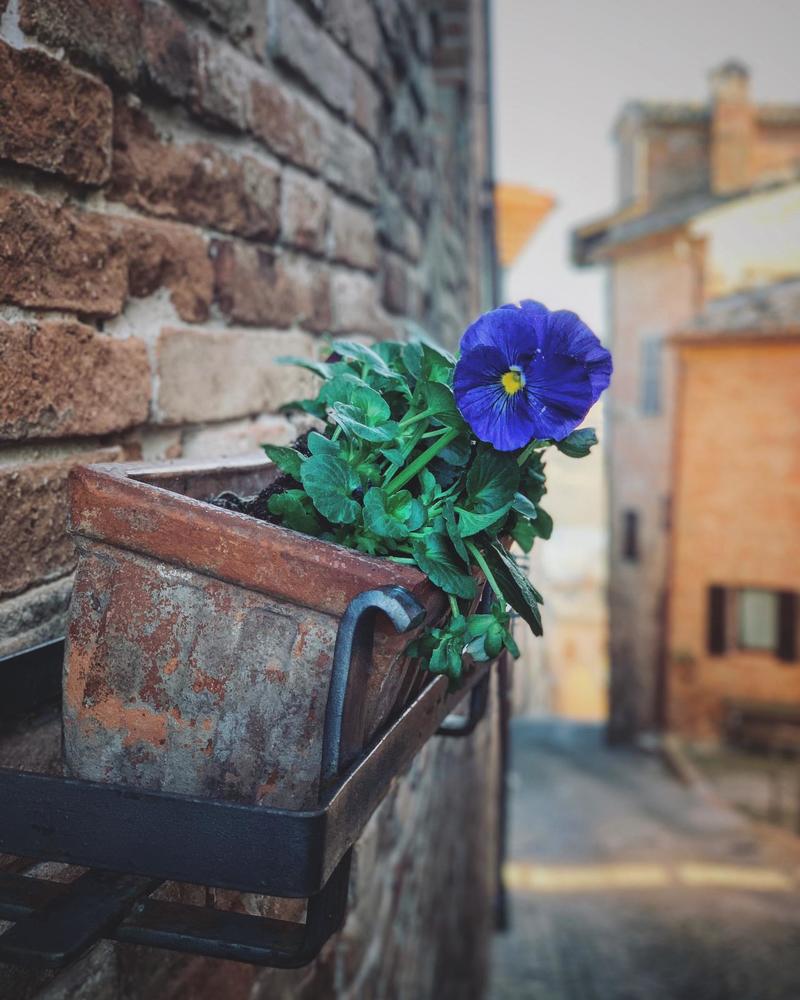 Photograph by Марина Неберекутина