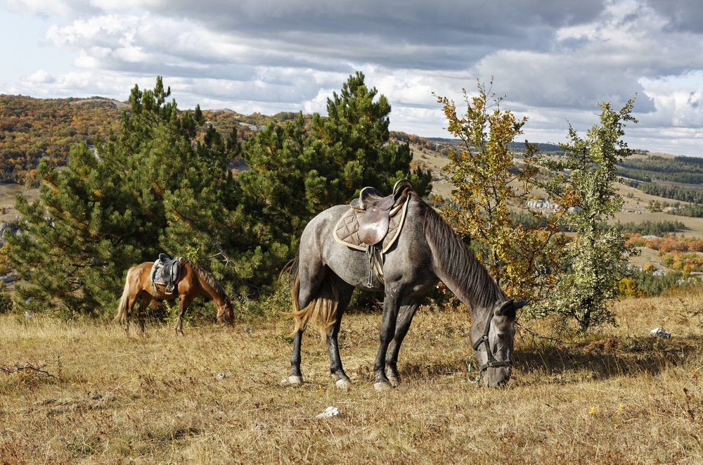 Осенняя безмятежность