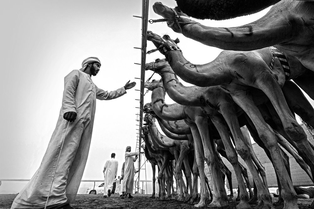 Get ready for a race