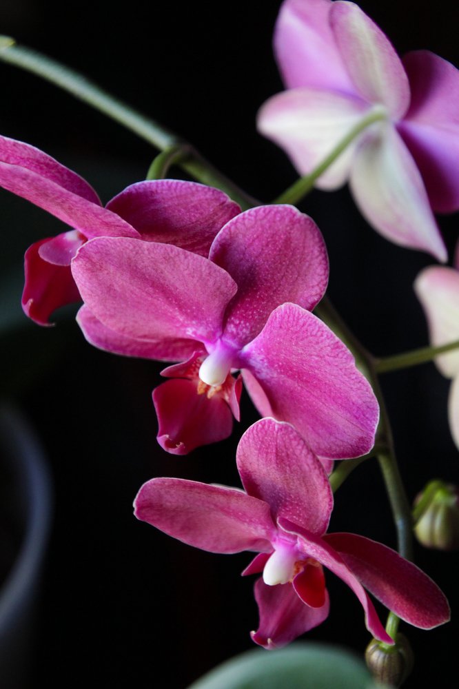 Photograph by Rouslan Chernyshev