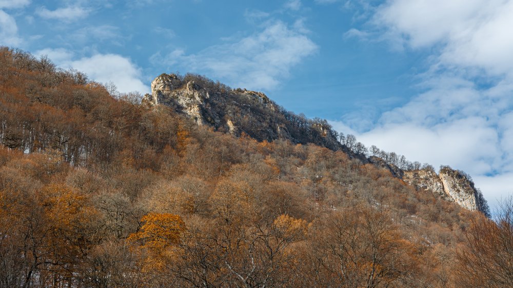 Фотография автора Николай Пугаев