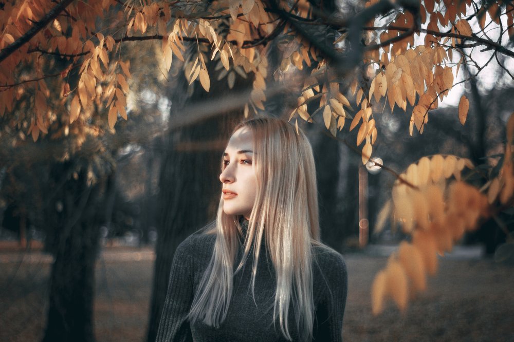 Фотография автора Сергей Василенко