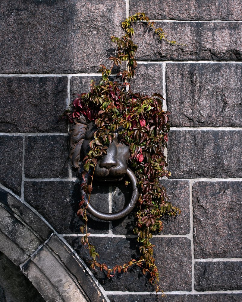 Фотография автора Ольга Матусевич