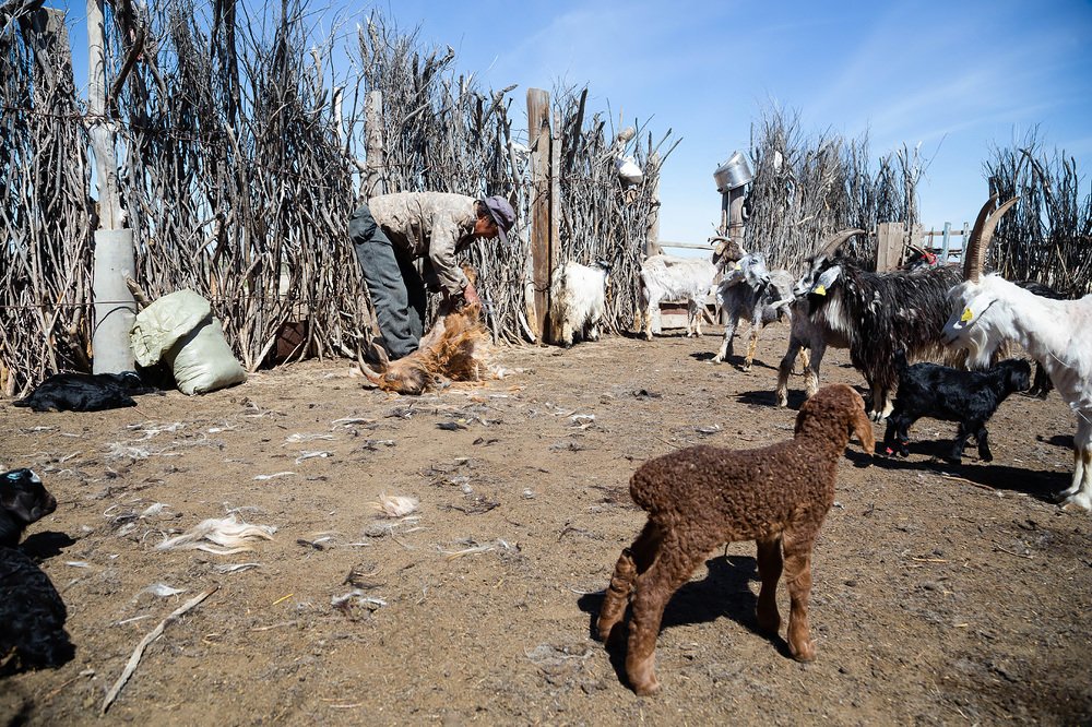 Photograph by Elena Lagutina