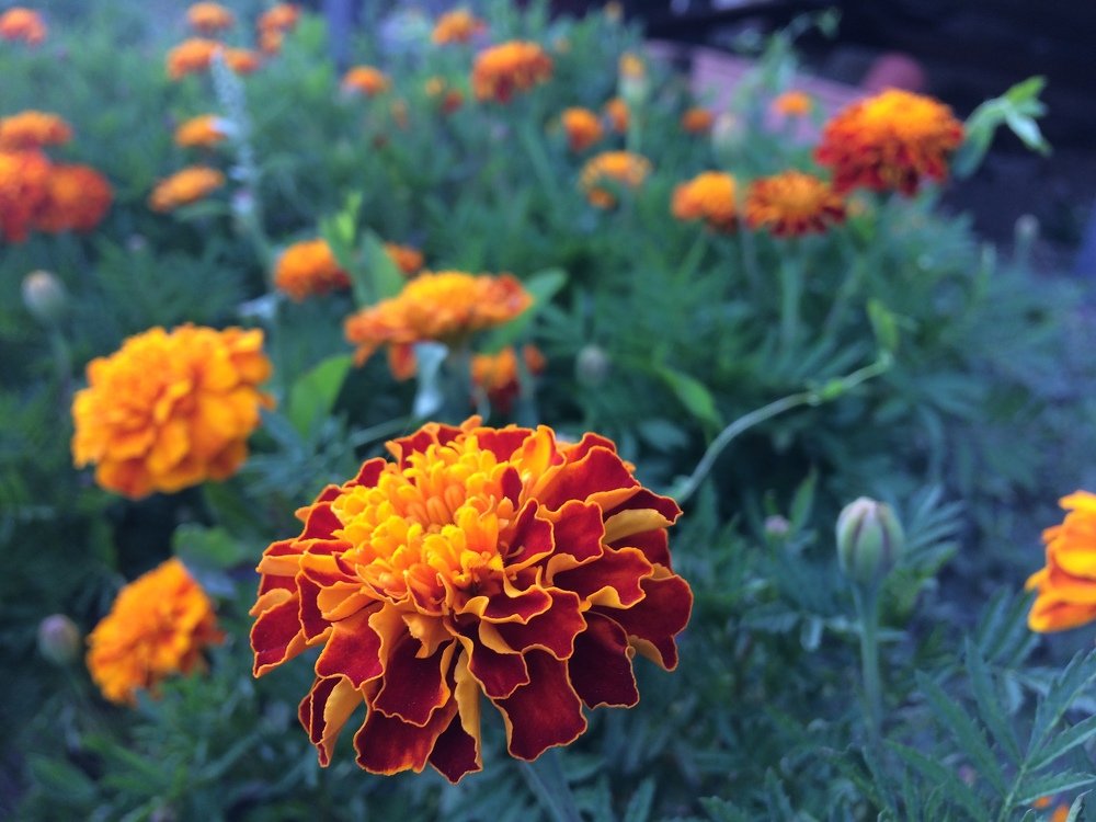 Photograph by ИГОРЬ