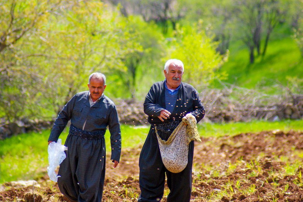 Photograph by Bestoon Saleh