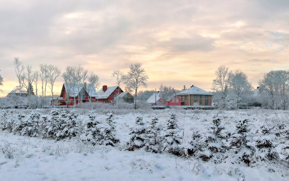 Photograph by Владимир Петрукович