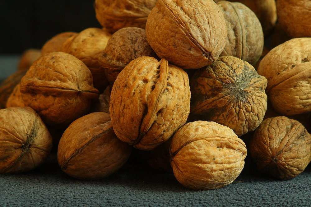 Фотография автора Геннадий Титов