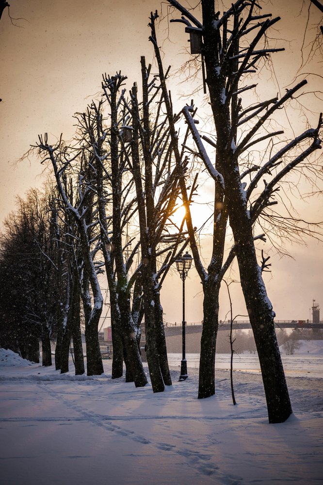 Photograph by Юлия Васильева