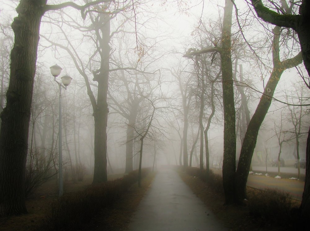 Photograph by Виктор Карпухин