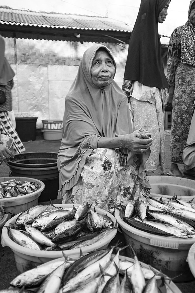 Lombok fish market