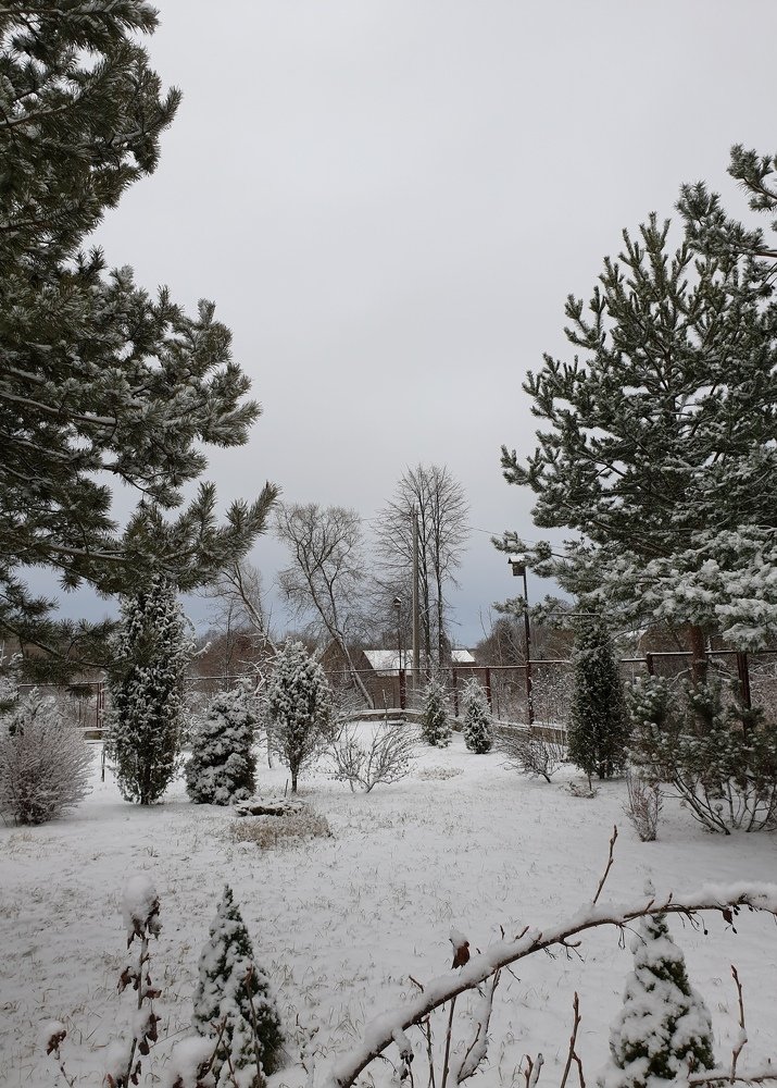 Photograph by Mariya Kuznetsova