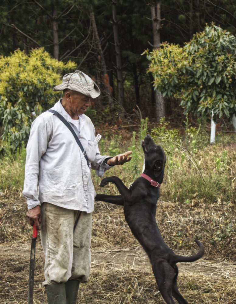 Photograph by Jose Hernandez