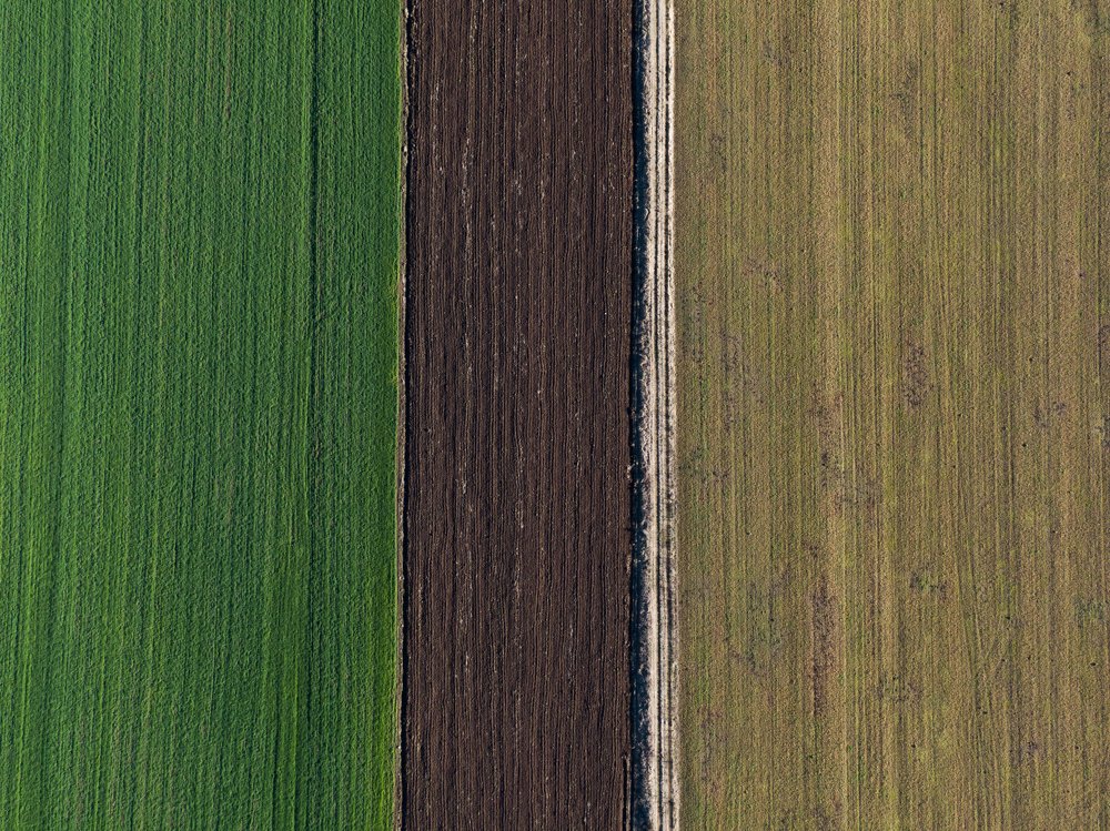 Different perspective of field