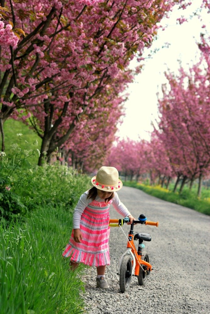 Photograph by Cyn Wilkinson