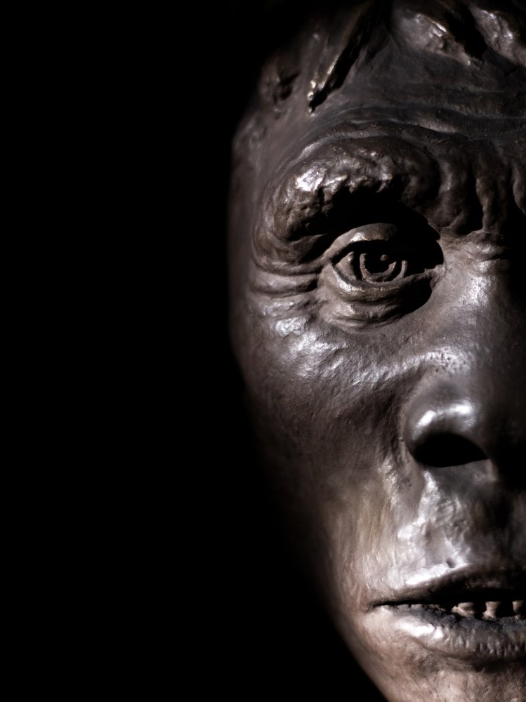 Photograph by stephanie taylor