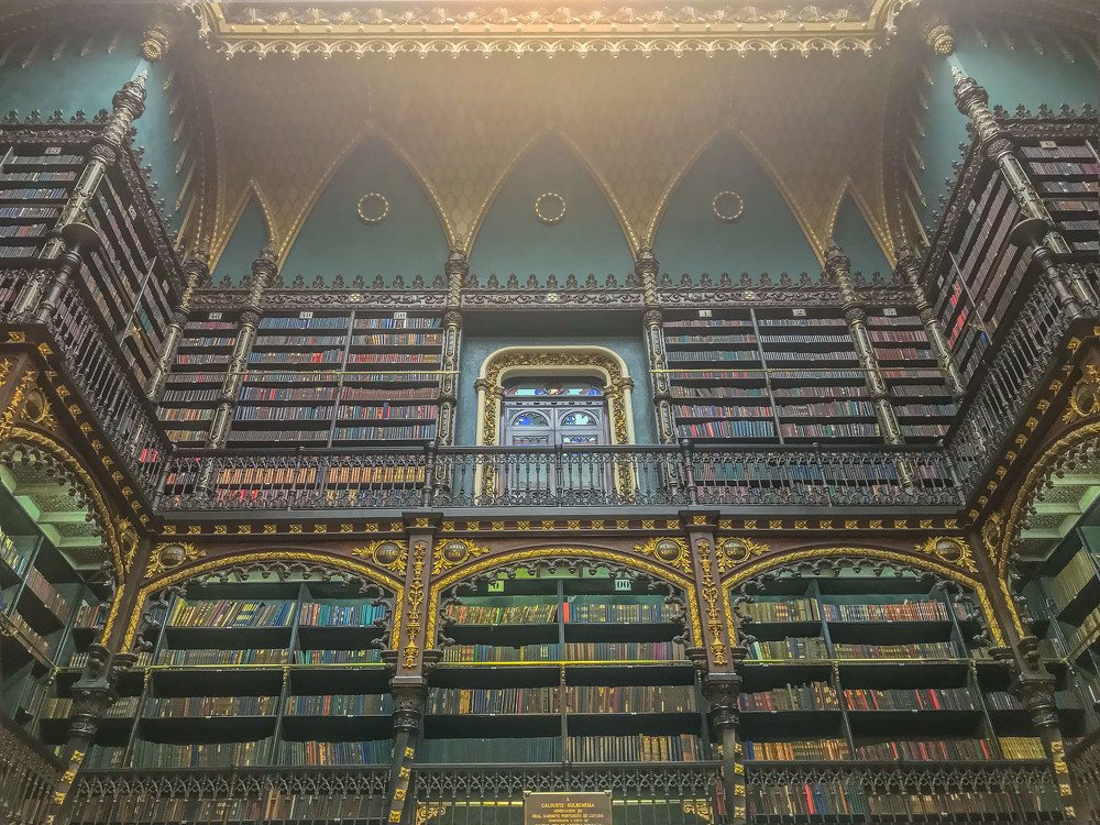 Фотография автора david xavier de carvalho