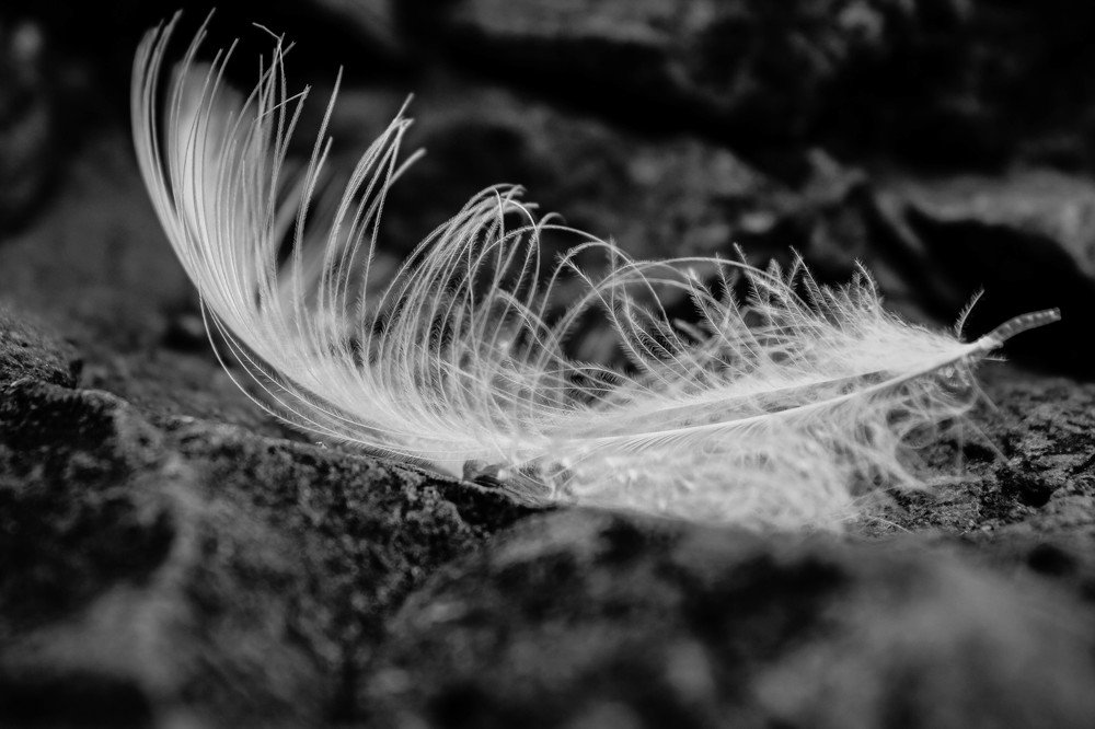 Photograph by Наталья