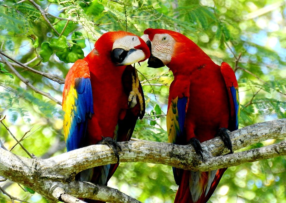 Love in everyday life