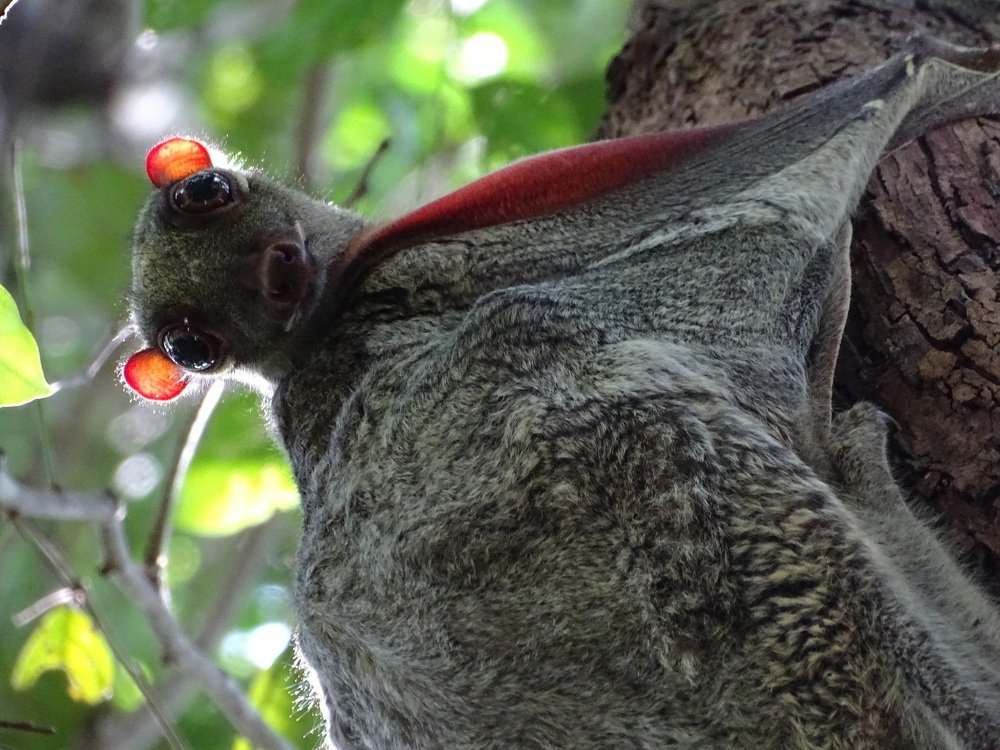 Photograph by Patrycja Sorensen