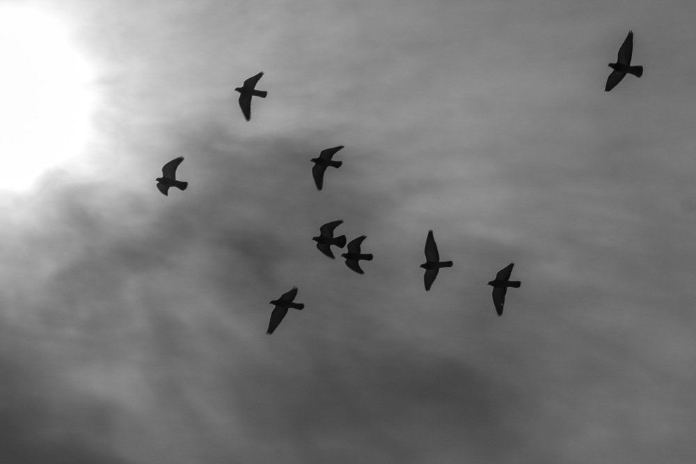 Photograph by Andrew Crome