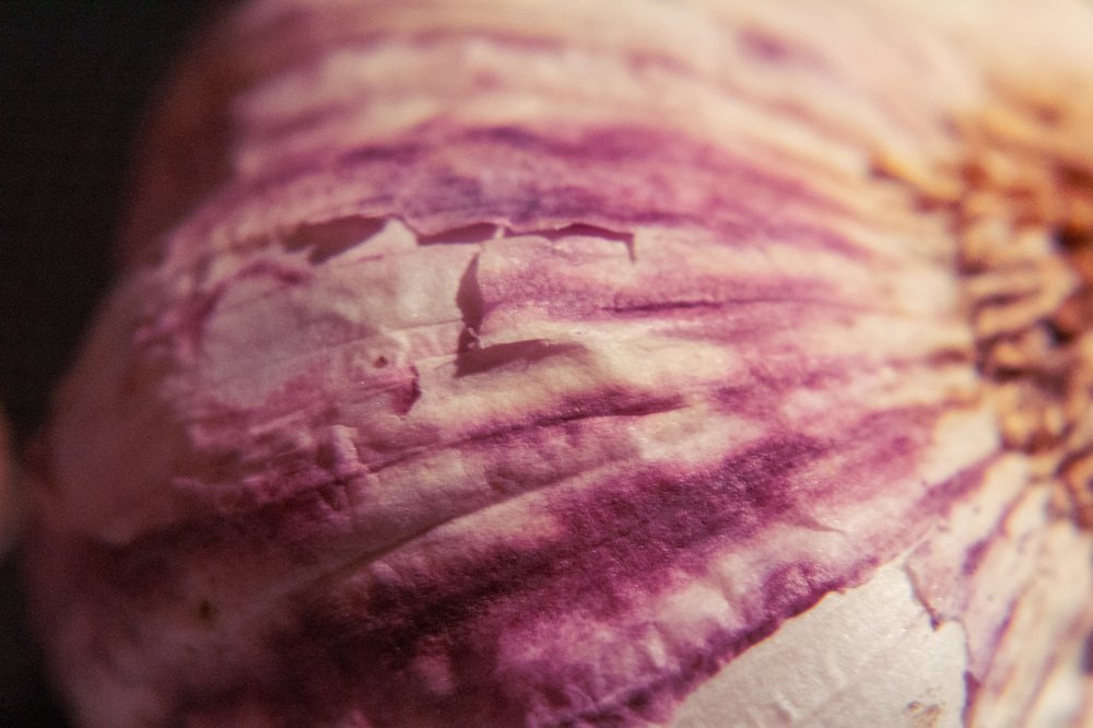 Photograph by Andrew Crome